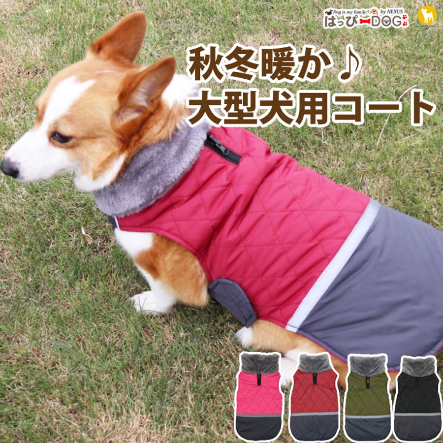 犬 服 犬服[品番：NX000006564]｜K-city（ケイシティ）の