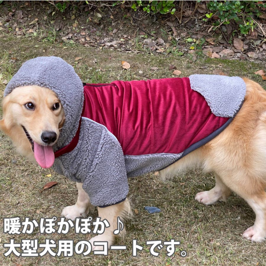 犬 服 犬服[品番：NX000006574]｜K-city（ケイシティ）の