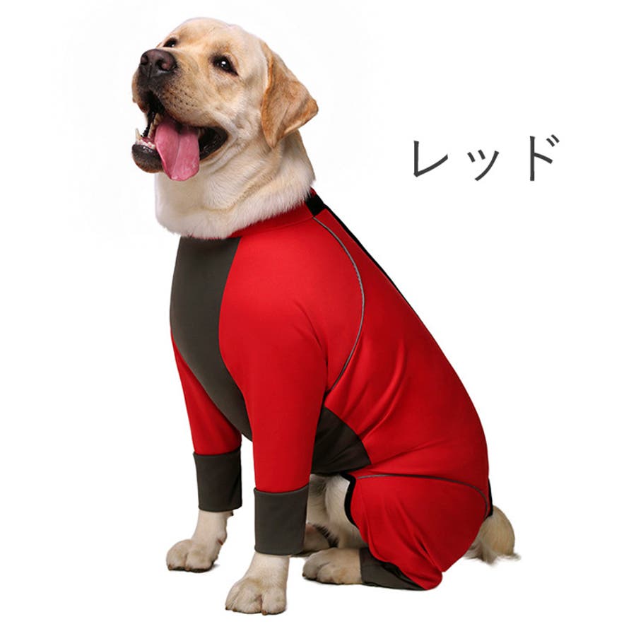 激安直営店 犬 服 犬服[品番：NX000006718]｜K-city（ケイシティ）の 犬服・アクセサリー