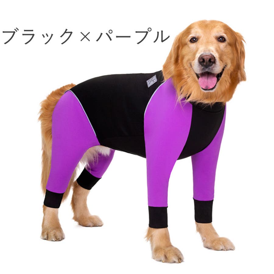 犬 服 犬服[品番：NX000006718]｜K-city（ケイシティ）の