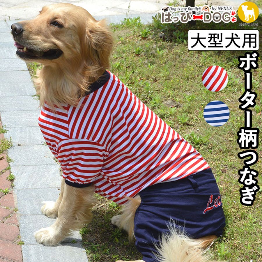 大型犬服 ラッシュガード ワンピ【専用】 - 犬用品