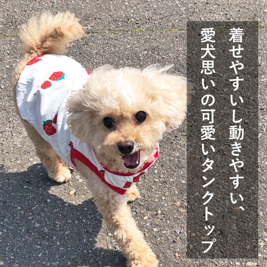 恋いちごのセットイントレーナー犬服  （胴回り33〜49センチ） 恋いちごのセットイントレーナー犬服 （胴回り33〜49センチ）