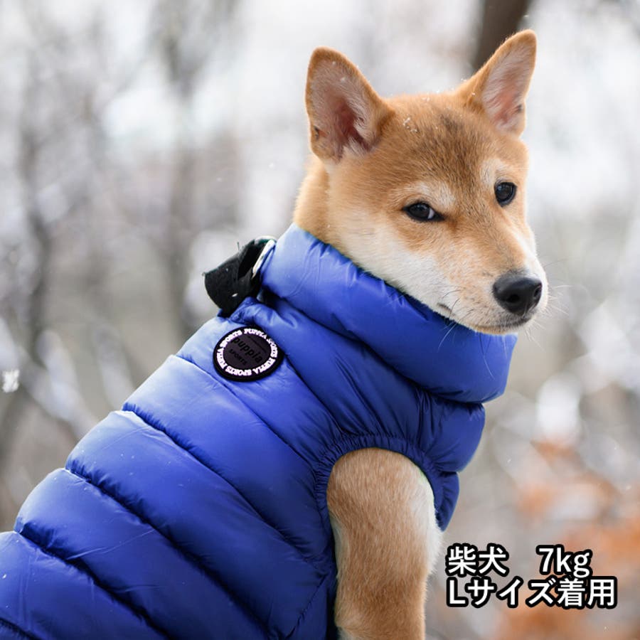 海外犬服 高品質なインポートのドッグウェア通販 