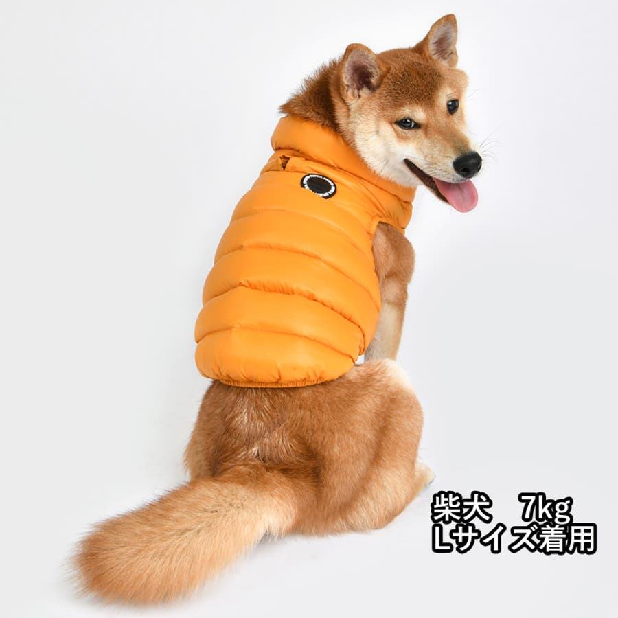 犬 服 犬服[品番：NX000006892]｜K-city（ケイシティ）の