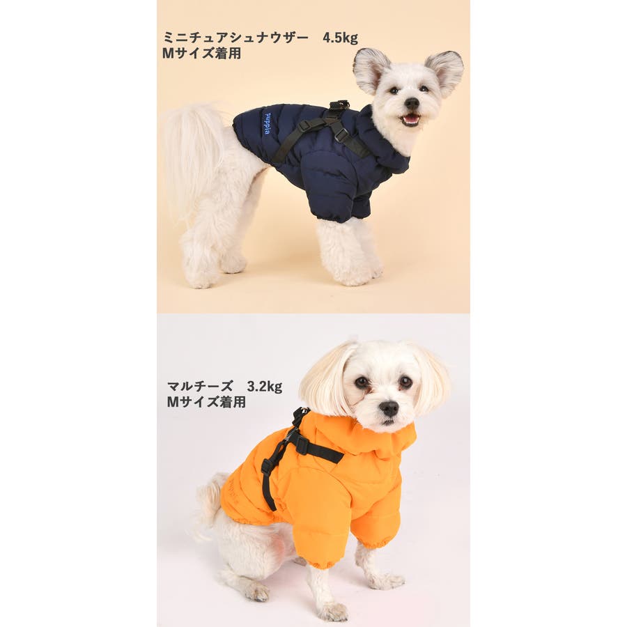 楽天市場】【クリアランスセール20%オフ】ポップ柄アウター XS/S/M/L/XL/XXL/DS/DM/DL/FBS/FBM/FBL D's  Chat-ディーズチャット- 犬服 ドッグウェア 小型犬 ダックス フレブル DS23AW : WAN VOYAGE