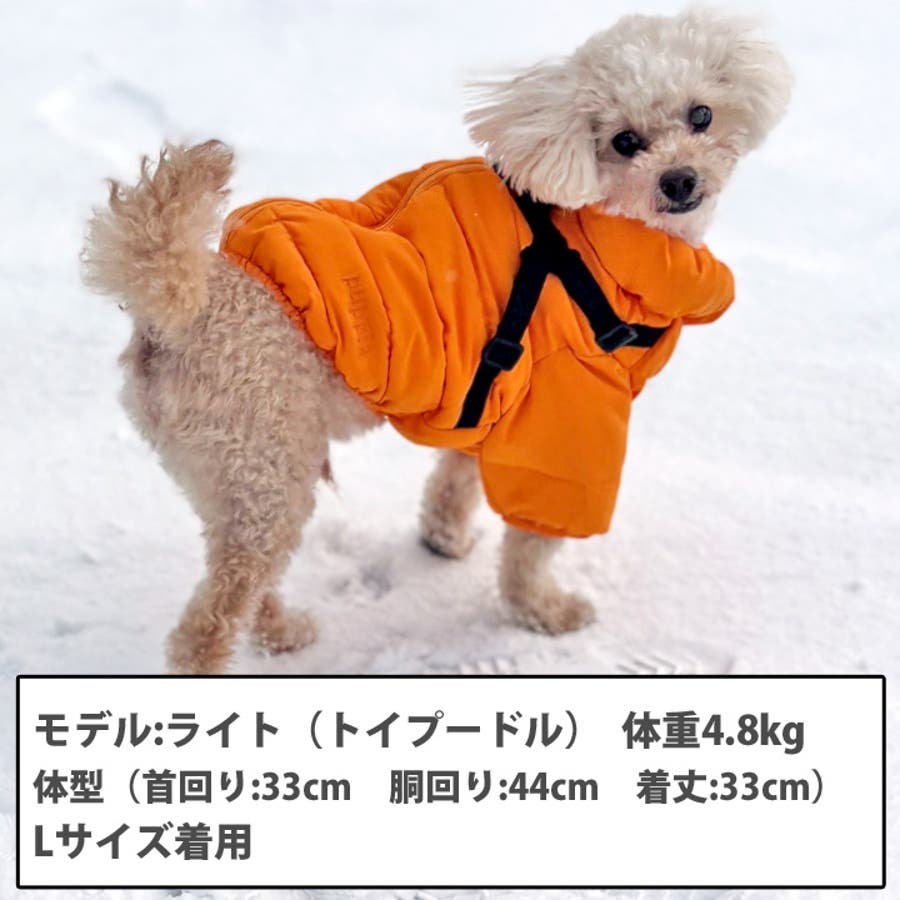 犬 服 犬服[品番：NX000006894]｜K-city（ケイシティ）のファッション通販｜SHOPLIST（ショップリスト）