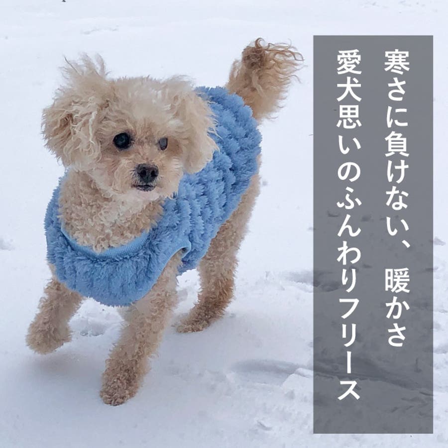 犬 服 犬服[品番：NX000006918]｜K-city（ケイシティ）の