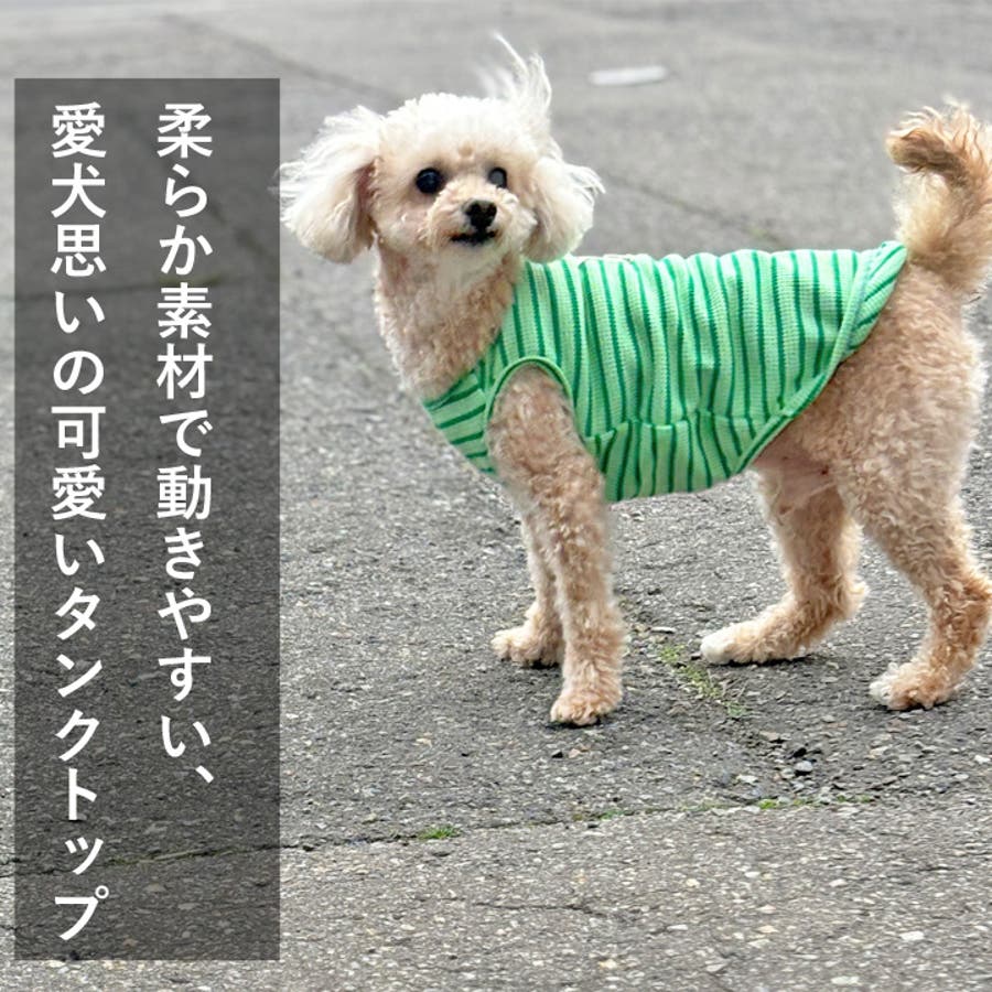 犬 服 犬服[品番：NX000006978]｜K-city（ケイシティ）のファッション