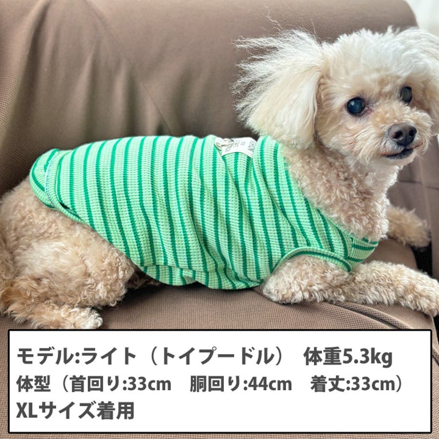 犬 服 犬服[品番：NX000006978]｜K-city（ケイシティ）のファッション