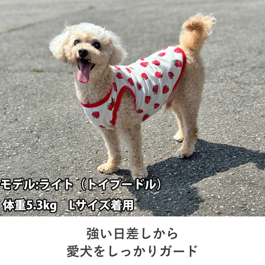 犬 服 犬服[品番：NX000006718]｜K-city（ケイシティ）の