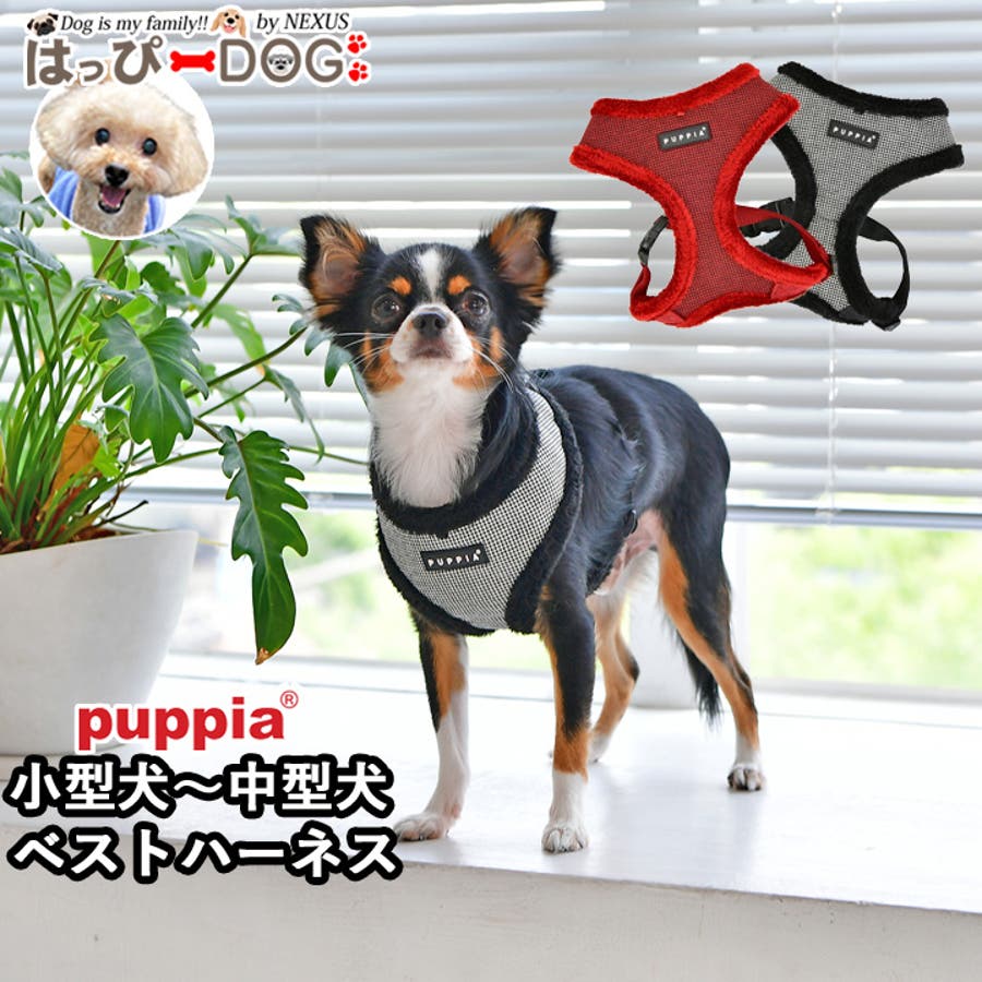 ハーネス 犬 首の負担が少ない[品番：NX000007066]｜K-city