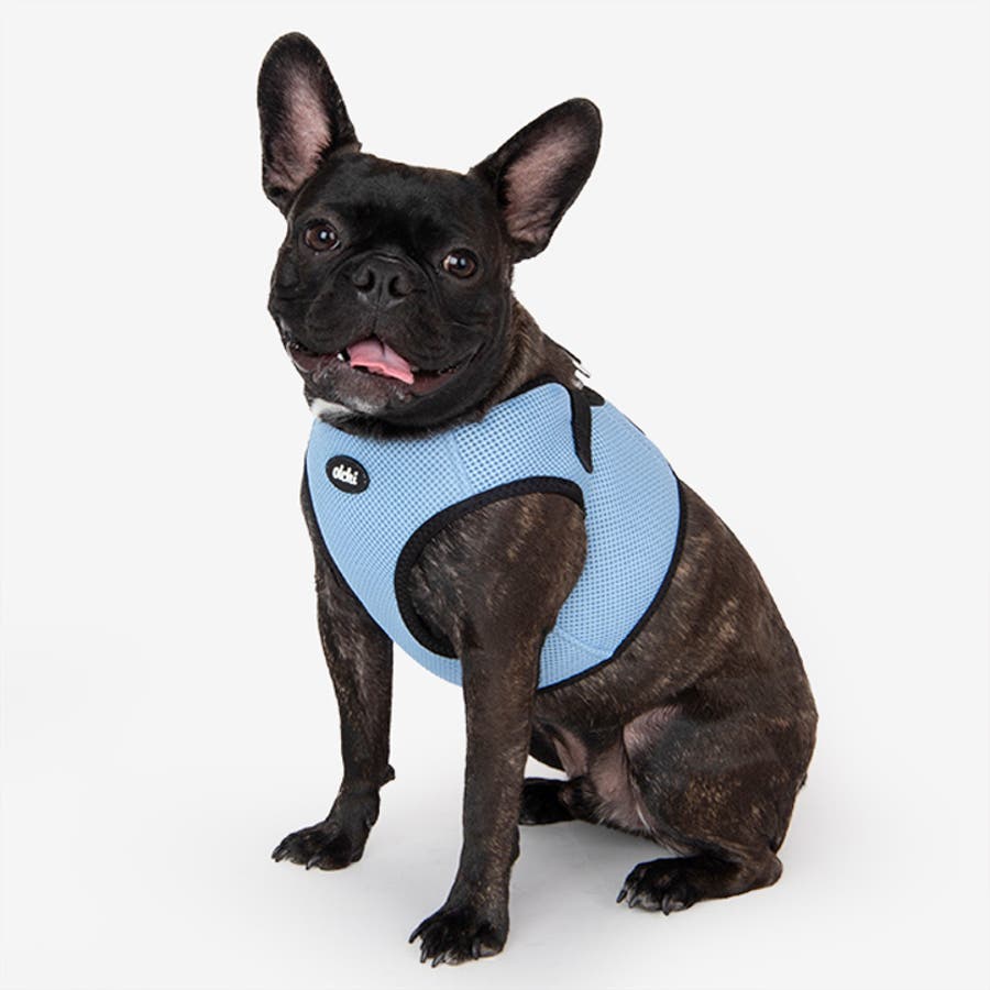 いぬページ✨️BLACK / L MOTO PRO SNEAKERS（ストリート & ライディング