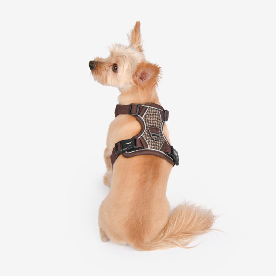 【イヌ】 ハーネス 犬 首の負担が少ない[品番：NX000006964]｜K-city