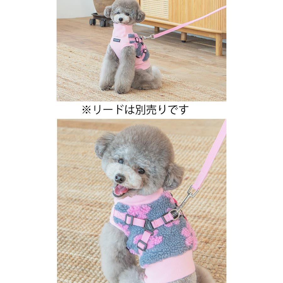 全国総量無料で 犬 服 犬服[品番：NX000006923]｜K-city（ケイシティ）の その他