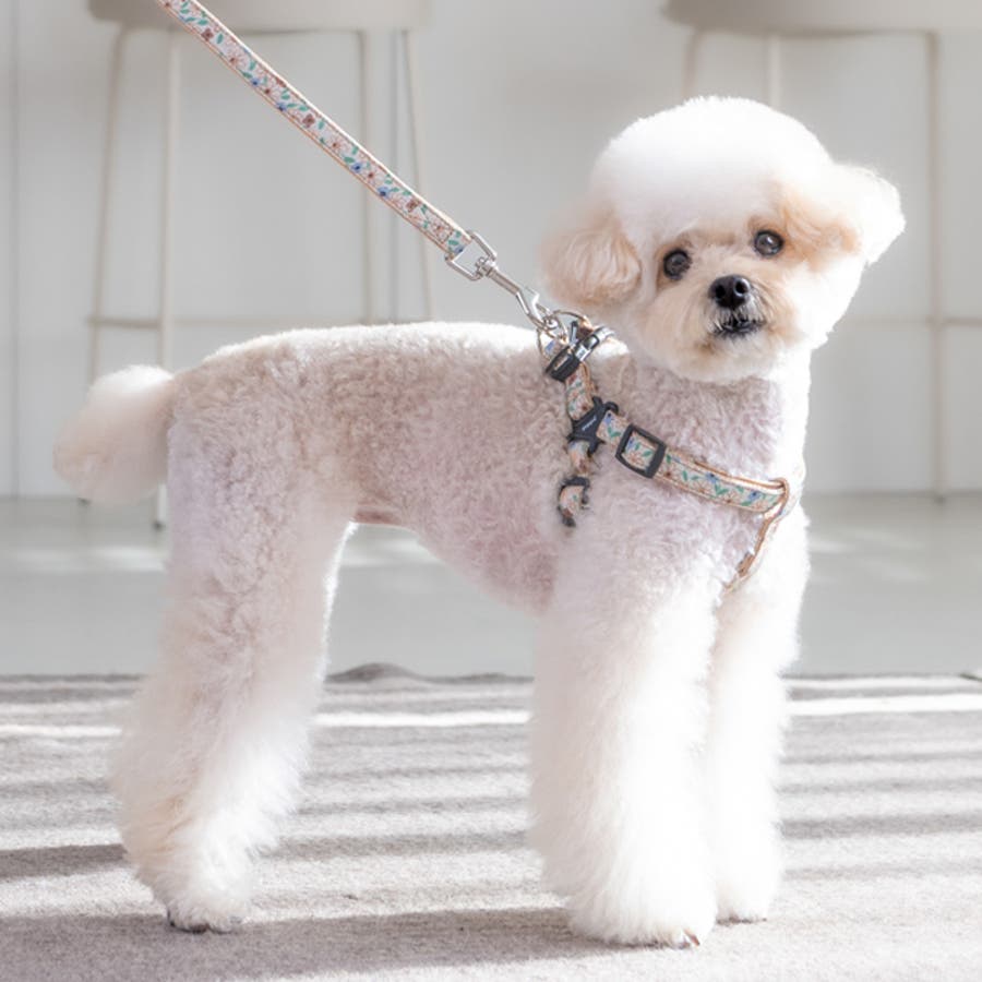 特売 ハーネス 犬 小型犬[品番：NX000006937]｜K-city（ケイシティ ぬいぐるみ