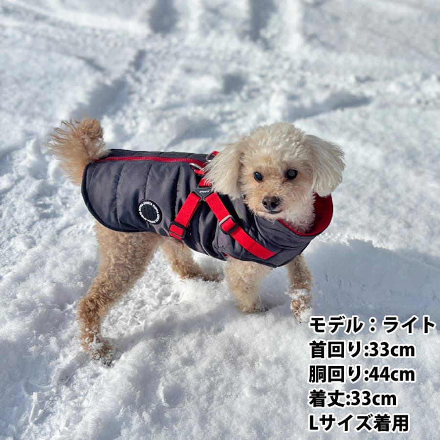 犬 服 犬服[品番：NX000006906]｜K-city（ケイシティ）のファッション通販｜SHOPLIST（ショップリスト）