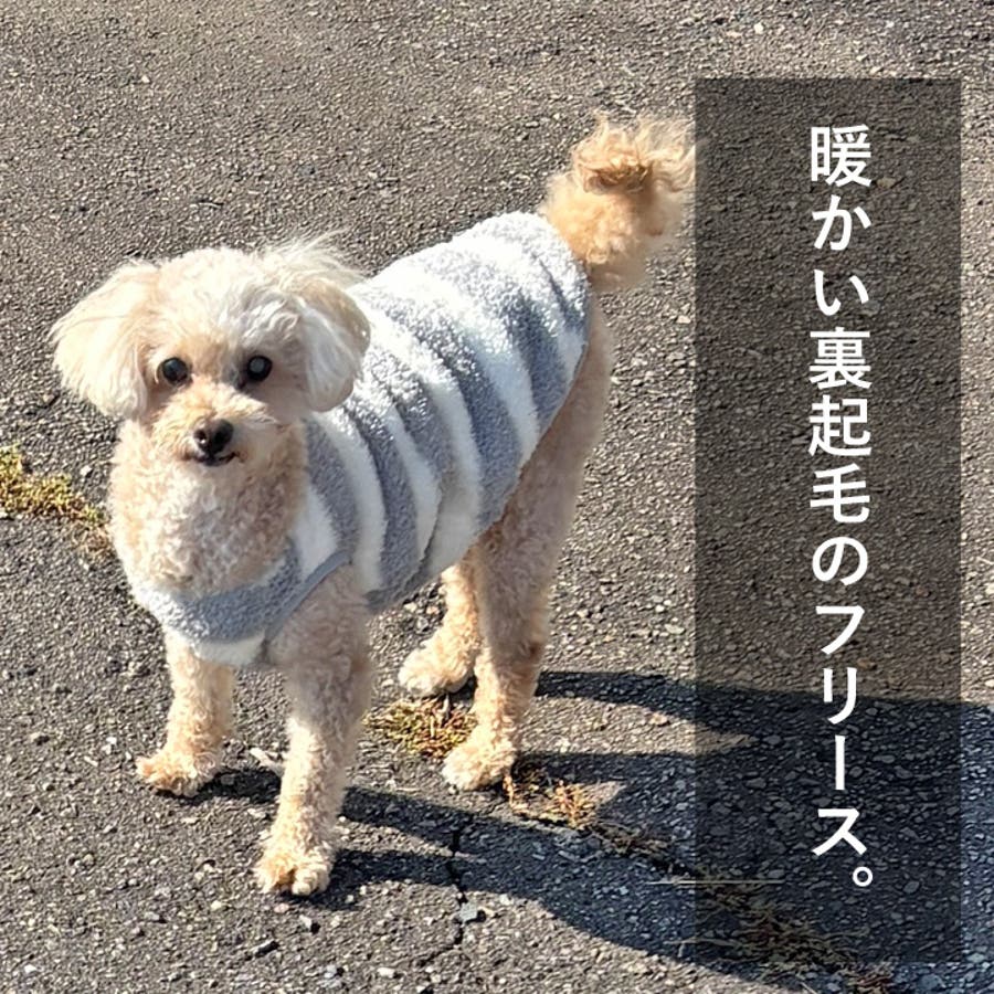犬 服 犬服[品番：NX000007078]｜K-city（ケイシティ）のファッション通販｜SHOPLIST（ショップリスト）