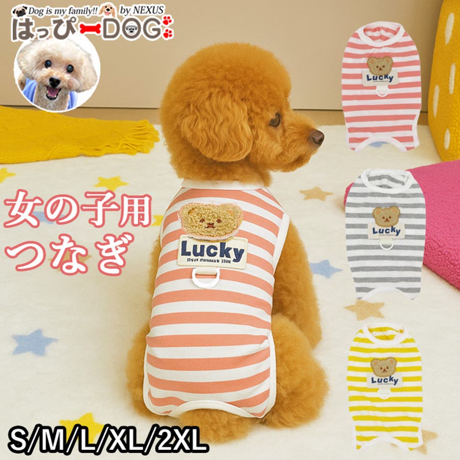 犬 服 犬服[品番：NX000006718]｜K-city（ケイシティ）の