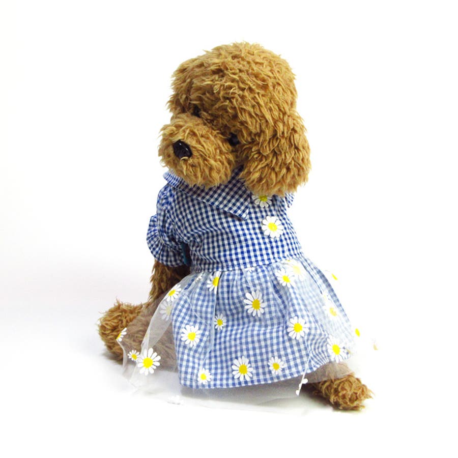犬服・アクセサリー ateliergg 犬 服 犬服[品番：NX000007144]｜K-city（ケイシティ）の