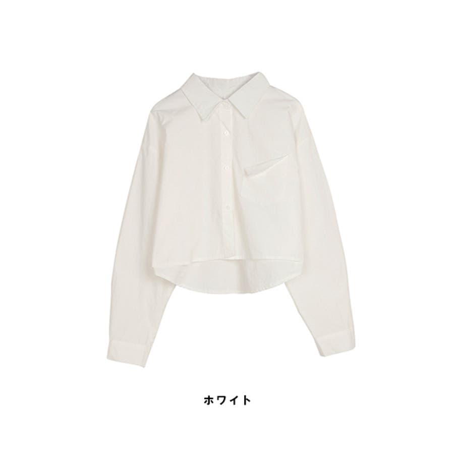 国産品 トップス シャツ[品番：ZI000008254]｜IRADOWL ショート丈 トップス