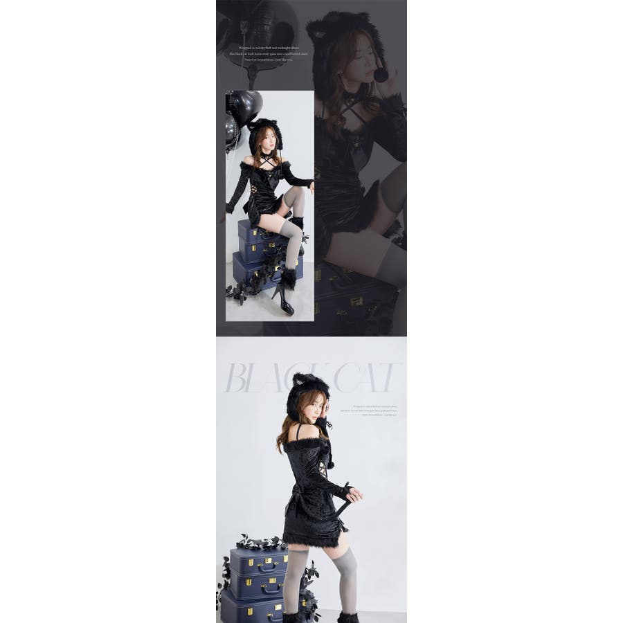 ノワールベルキャット[品番：MYMT0000937]｜Malymoon （マリー