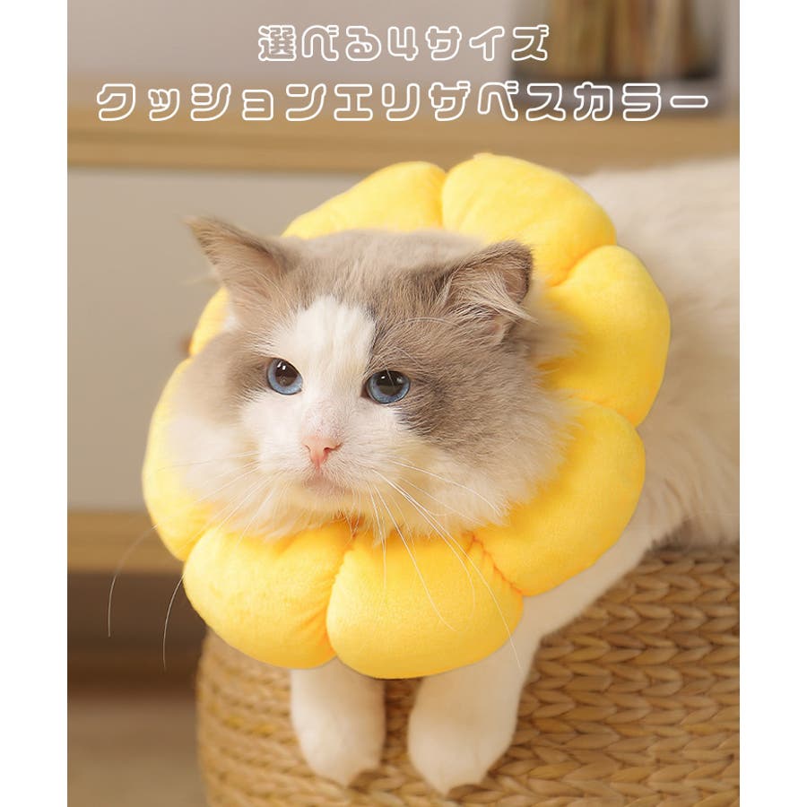 エリザベスカラー 犬 猫[品番：JOKW0013591]｜REAL STYLE（リアル