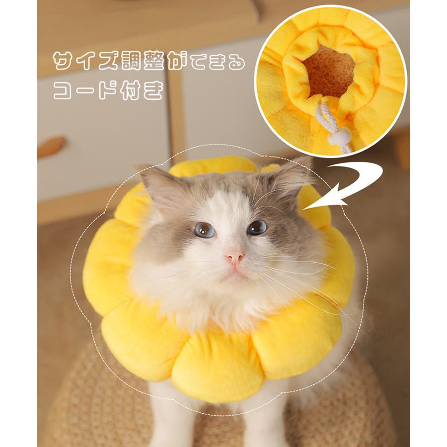 エリザベスカラー 犬 猫[品番：JOKW0013591]｜REAL STYLE（リアル