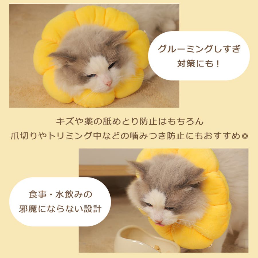 舐め犬様専用