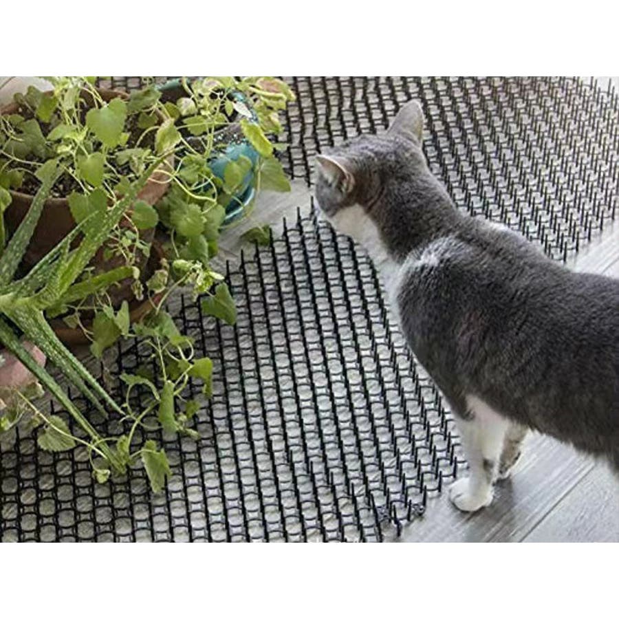 ニヤケル猫様☆確認page♡ジェラトーニリクエストオーダー ニヤケル猫様☆確認page♡ジェラトーニリクエストオーダー