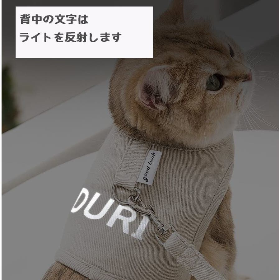 猫用 ハーネス リード[品番：FQ000185490]｜PlusNao（プラスナオ