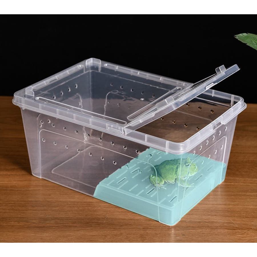 飼育ケース プラスチックケース プラケース[品番：FQ000204612