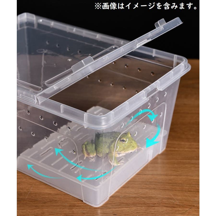 飼育ケース プラスチックケース プラケース[品番：FQ000204612
