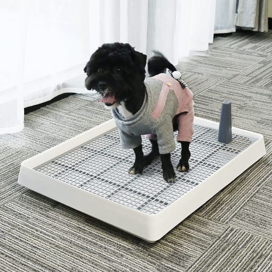 犬用　トイレトレー　3個　セット　　知育玩具