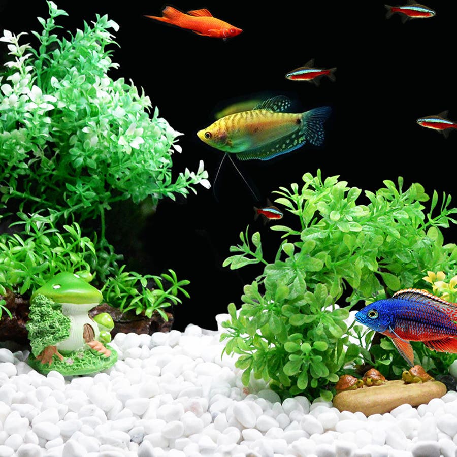 水槽用模型 オブジェ 熱帯魚 品番 Fq Plusnao プラスナオ のレディースファッション通販 Shoplist ショップリスト