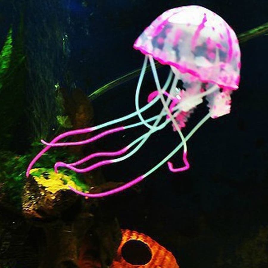 人工クラゲ シリコン製 吸盤[品番：FQ000125571]｜PlusNao（プラスナオ