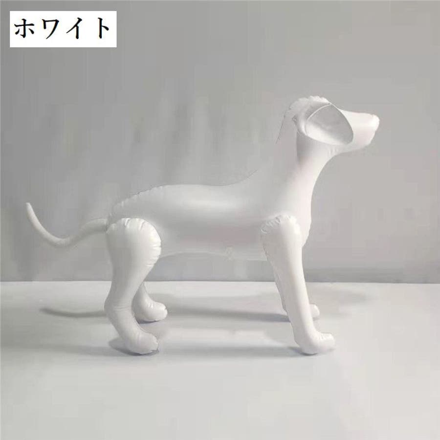 エアーマネキン トルソー 犬[品番：FQ000189656]｜PlusNao（プラスナオ