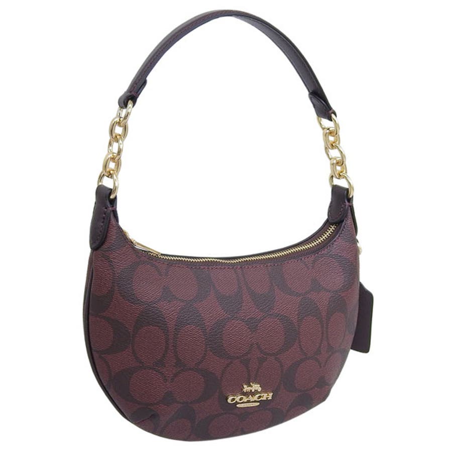 Coach small skylar clearance hobo in signature canvas