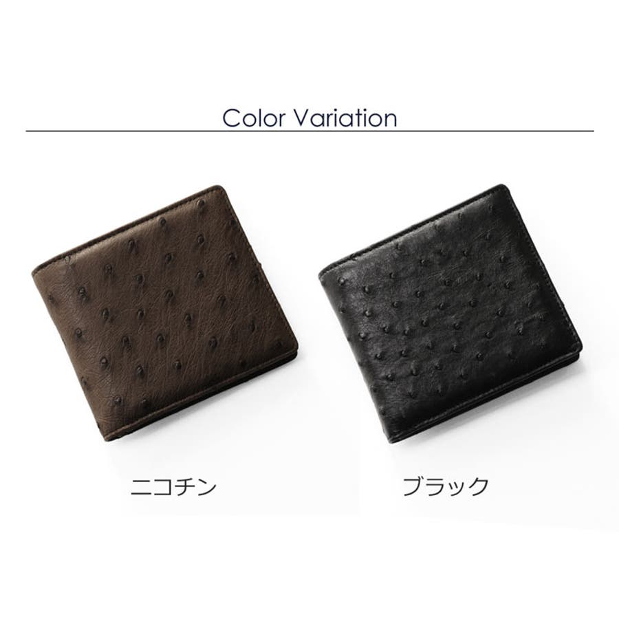 オーストリッチ 2つ折り財布 両カード[品番：SNKC0001798