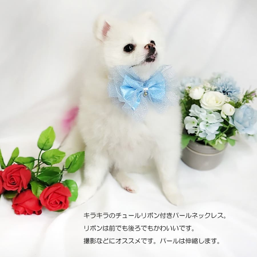 パールとリボンのネックレス ペットアクセサリー 首飾り 猫