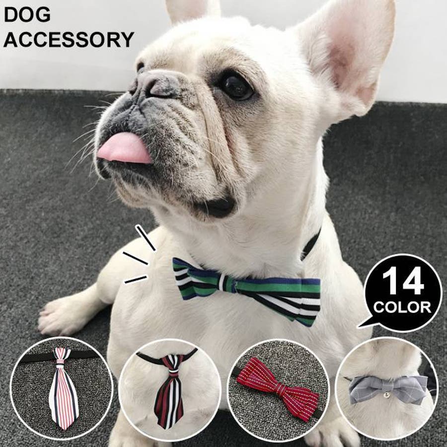 ドッグ 犬用 アクセサリー[品番：KX000000421]｜CLARAH【WOMEN