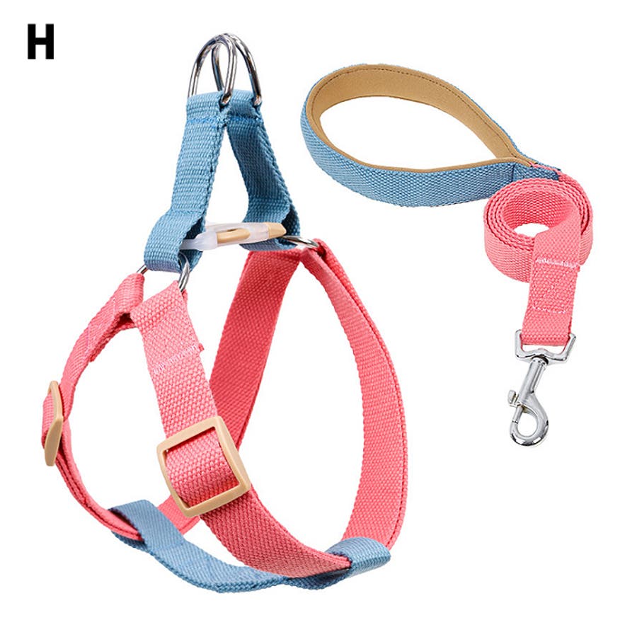 サマーセール ミニグランド バンドル ハーネス 犬[品番：KX000000638]｜CLARAH【WOMEN リード 首輪・ハーネス・リード