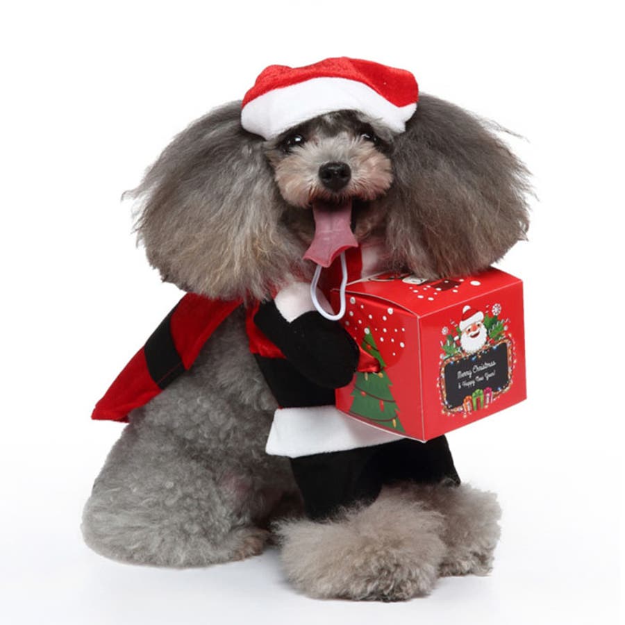 COACH コーチ クリスマスホリデー ペット 犬 ぬいぐるみ ドッグウェア付き COACH コーチ クリスマスホリデー ペット 犬 ぬいぐるみ ドッグウェア