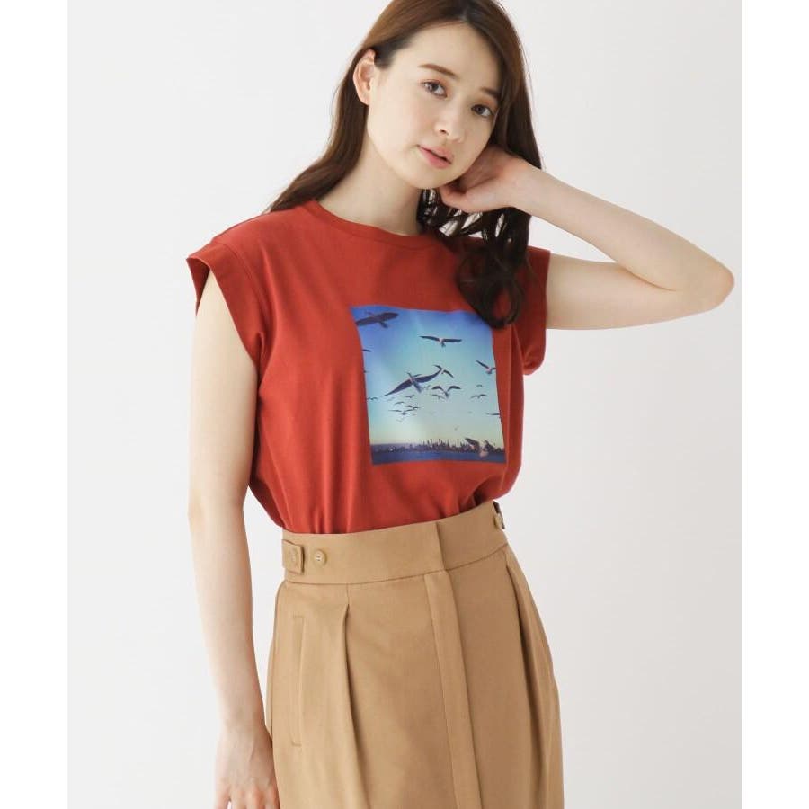 洗える フォトプリントフレンチスリーブtシャツ 品番 Wrdw Opaque Clip オーペック のレディースファッション通販 Shoplist ショップリスト 洗える フォトプリントフレンチスリーブtシャツ 品番 Wrdw Opaque Clip オーペック のレディースファッション通販 Shoplist ショップリスト