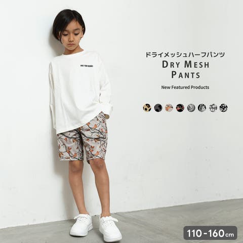 NEXT WALL | MSSK1628463