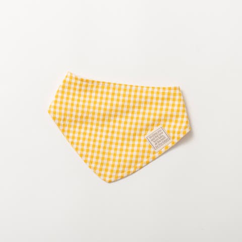 ブランシェス | BRSK0009569