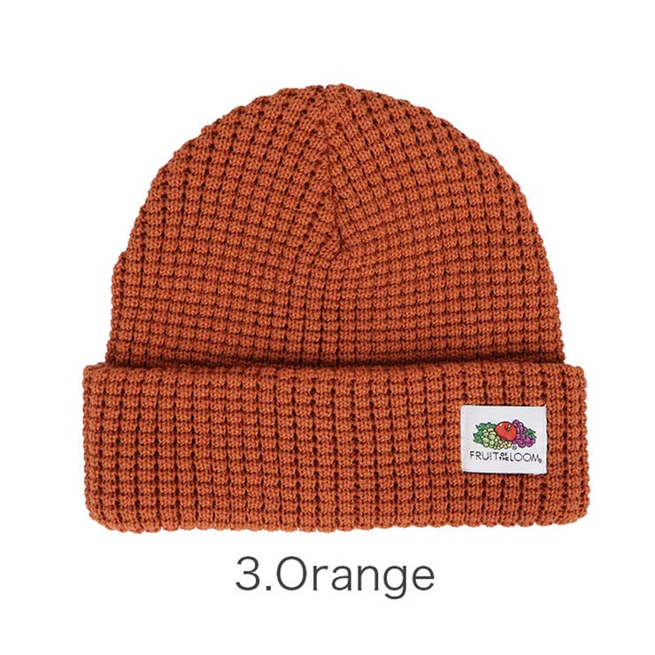フルーツオブザルーム ニットキャップ メンズ | 99HeadwearShop【WOMEN】 | 詳細画像4 