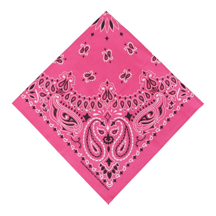 4.S.Pink | HAV A HANK | 99HeadwearShop