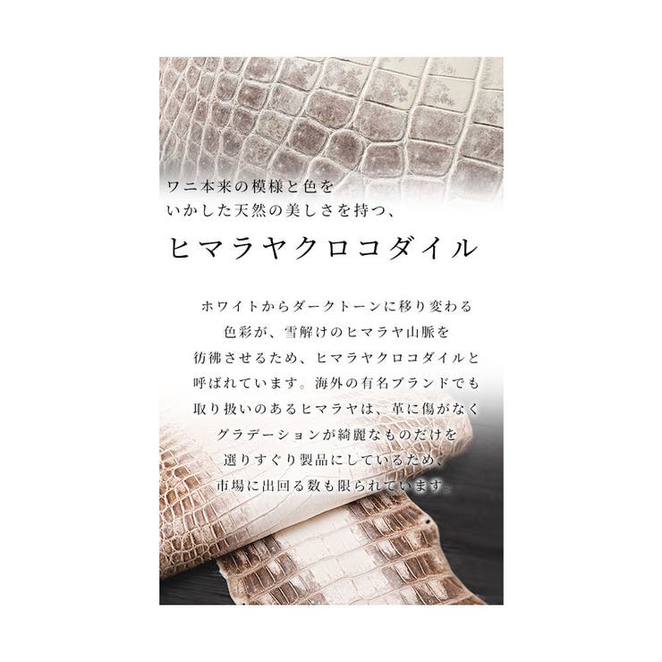カードスロットホルダー付きクロコ革フォンショルダー レディース ファッション | Sawa a la mode | 詳細画像12 