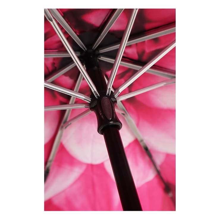 大輪の花咲く晴雨兼用折りたたみ傘【11月9日20時販売新作】