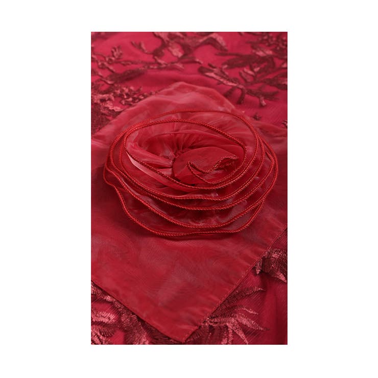 ポケットに薔薇の花咲く透き通る花刺繍ワンピース レディース